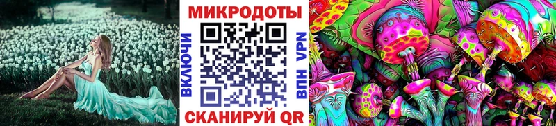 Галлюциногенные грибы мухоморы  Купить где  Гудермес 